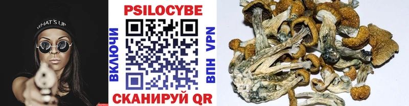 цена Сарапул Псилоцибиновые грибы мухоморы
